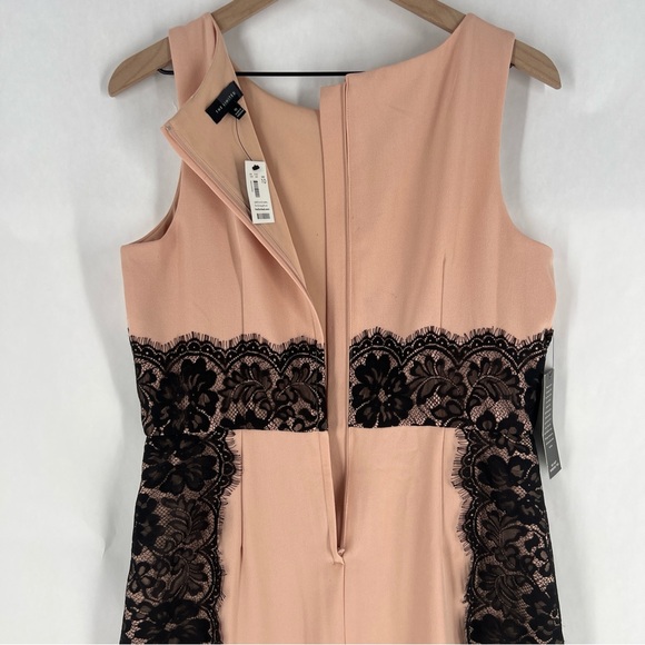 The Limited Blush & Black‎ Lace Sleeveless Midi Dress NWT Size 10 - Picture 12 of 16